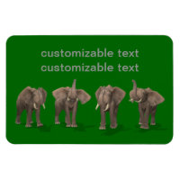 Quartet des éléphants