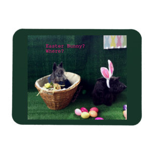 Magnet Flexible Quel Lapin