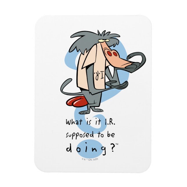 Magnet Flexible Qu'est-ce que la R.I. est censée faire?™ (Vertical)