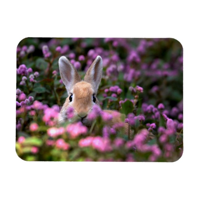 Magnet Flexible Rabbit farm (Horizontal)