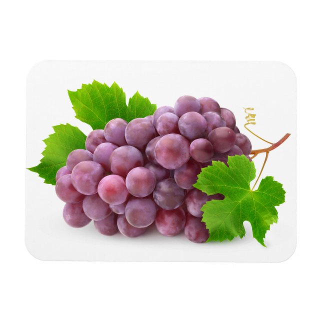 Magnet Flexible Raisin rouge (Horizontal)
