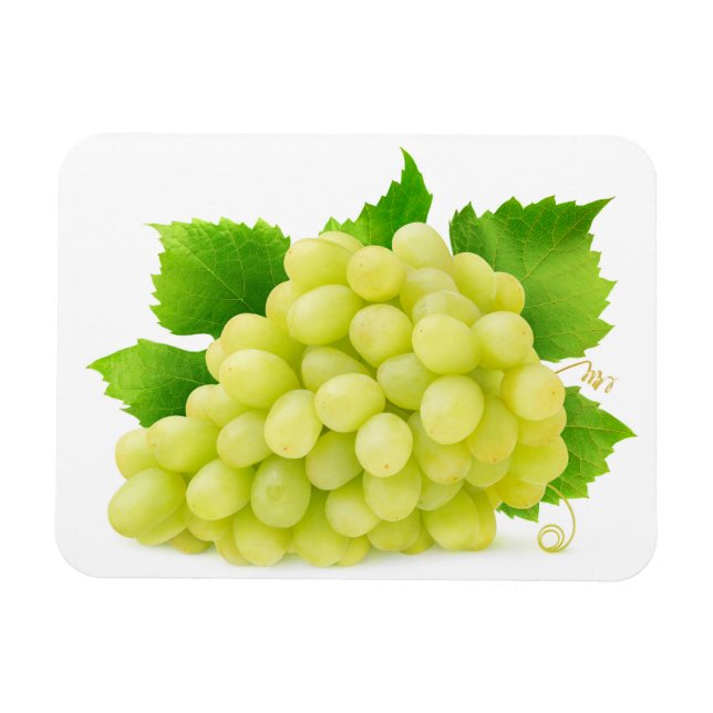 Magnet Flexible raisins blancs (Horizontal)