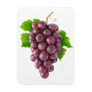 Magnet Flexible Raisins rouges