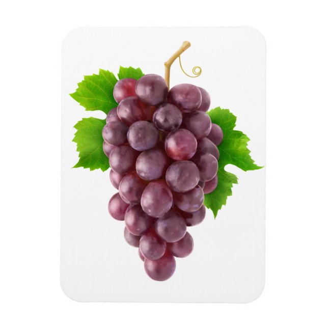 Magnet Flexible Raisins rouges (Vertical)