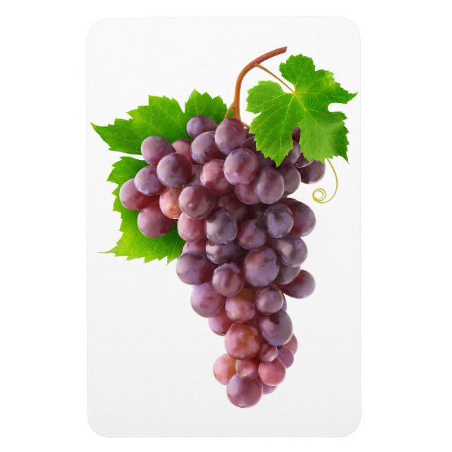 Magnet Flexible Raisins rouges (Vertical)