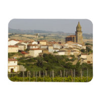 Rangées de vignes au premier plan cadre le