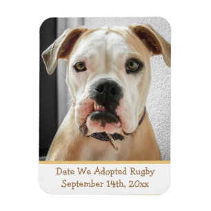Magnet Flexible Rappel de l'adoption de l'animal de compagnie Magn