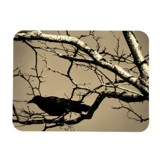 Magnet Flexible Raven Crow Black Bird Silver Tree Photo