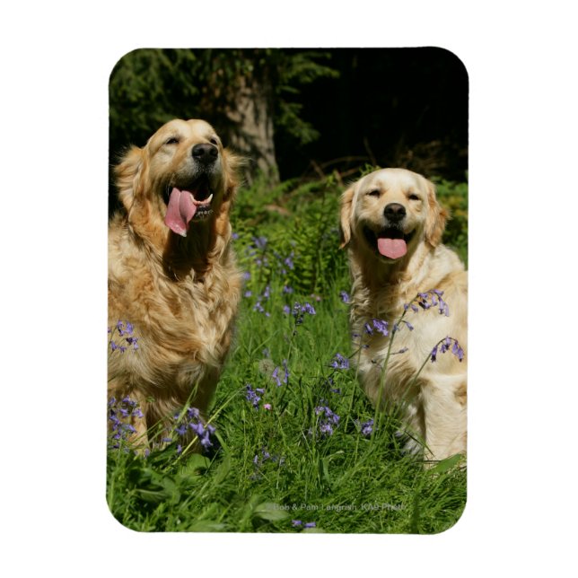 Magnet Flexible Récipiendaires en or en herbe (Vertical)