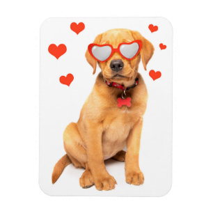 Magnet Flexible Red Fox Labrador Puppy Love