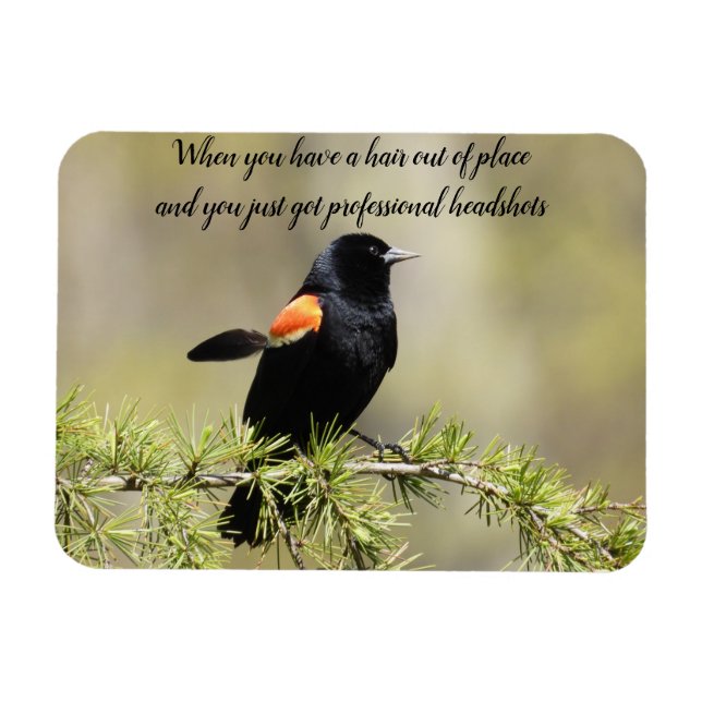 Magnet Flexible Red Winged BlackBird -Mauvais texte de jour de che (Horizontal)