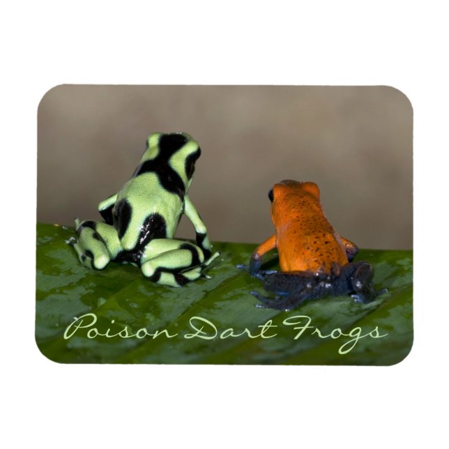 Magnet Flexible Réfléchir à la situation (Horizontal)