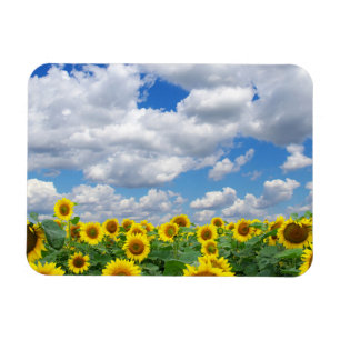 Magnet Flexible Réfrigérateur de photo personnalisé
