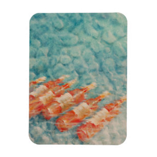 Magnet Flexible Refroidissement des vins 2010