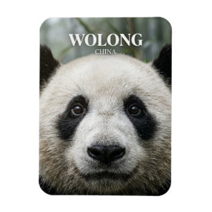 Magnet Flexible Réserve naturelle nationale de Wolong, Chine