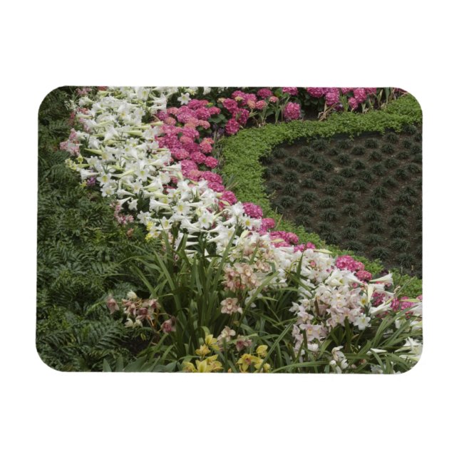 Magnet Flexible Rhododendron (Rhododendron catawbiense) Santé (Horizontal)