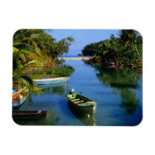 Magnet Flexible Rivière Pittoresque près de Ocho Rios en Jamaïq