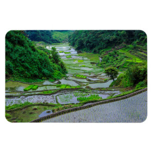 Magnet Flexible Rizières de Banaue, Luzon