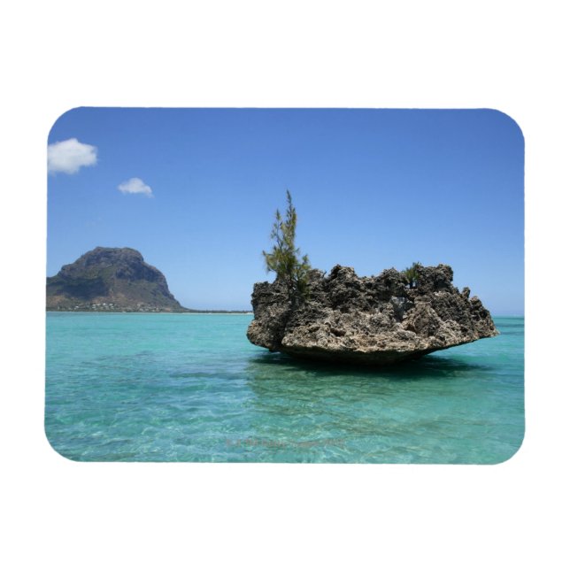 Magnet Flexible Roche cristalline composée de corail (Horizontal)