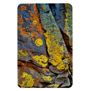 Magnet Flexible Roches couvertes de lichen