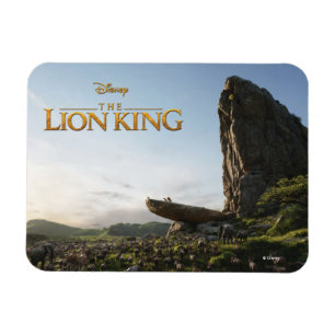 Magnet Flexible Roi Lion  Simba Présentée Au Royaume