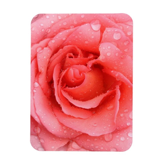 Magnet Flexible Romantique Rose rose rouge gouttes d'eau (Vertical)