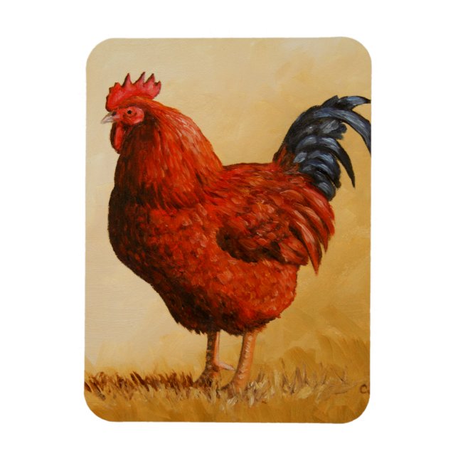 Magnet Flexible Rooster chicken de Rhode Island (Vertical)