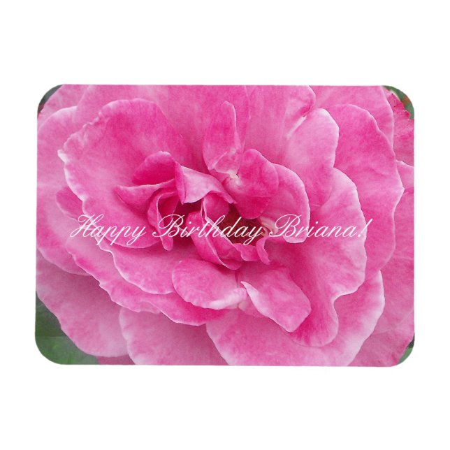 Magnet Flexible Rose de jardin rose (Horizontal)
