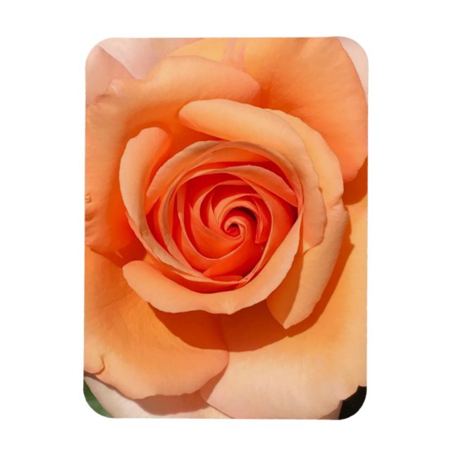 Magnet Flexible Rose de plage (Vertical)