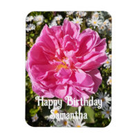 Rose rose Rose Fleurs florales Anniversaire