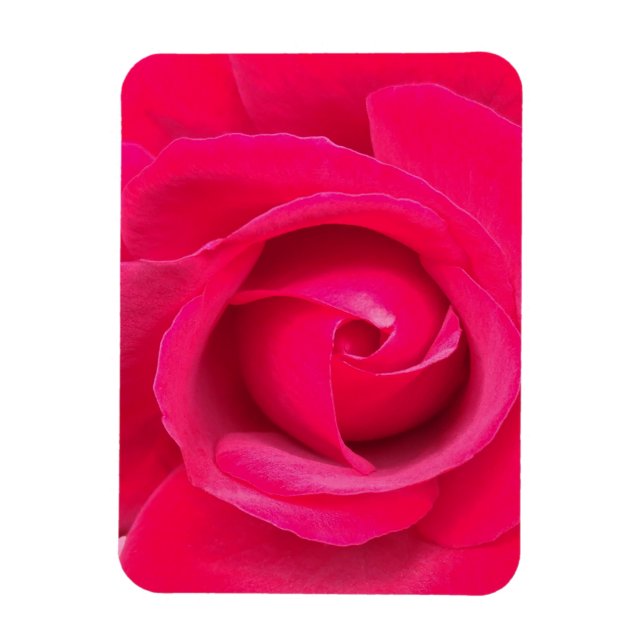 Magnet Flexible Rose rouge romantique (Vertical)