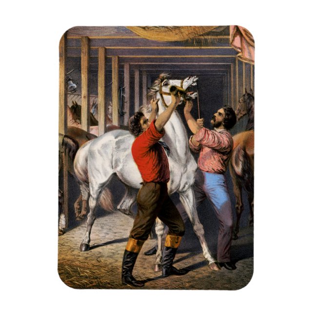 Magnet Flexible Rosenberg's Great East India Horse Invigorator. (Vertical)