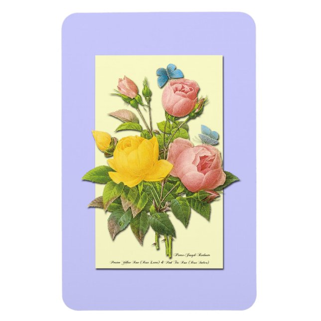 Magnet Flexible Roses Botaniques Rose Jaune (Vertical)