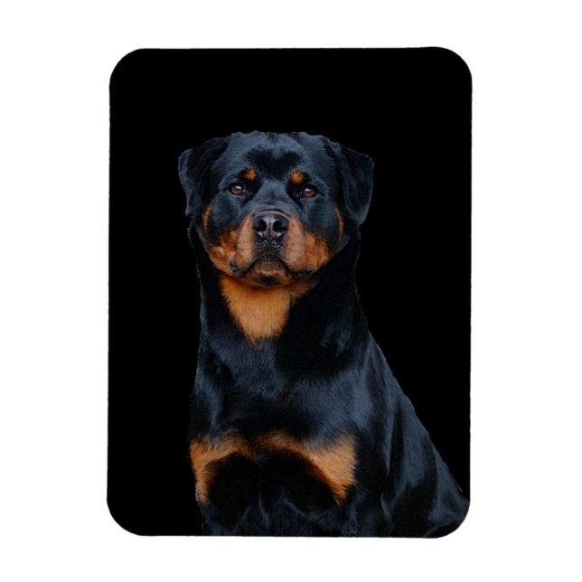 Magnet Flexible Rottweiler (Vertical)