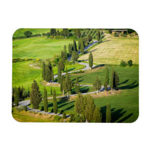 Magnet Flexible Route bordée de Cypress en Toscane rectangle magné