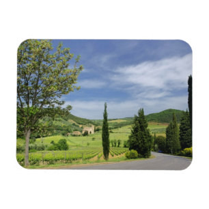 Magnet Flexible Route de campagne entre cyprès et