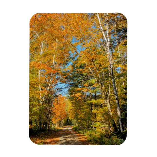 Magnet Flexible Route rurale Automne Colonnes New Hampshire (Vertical)