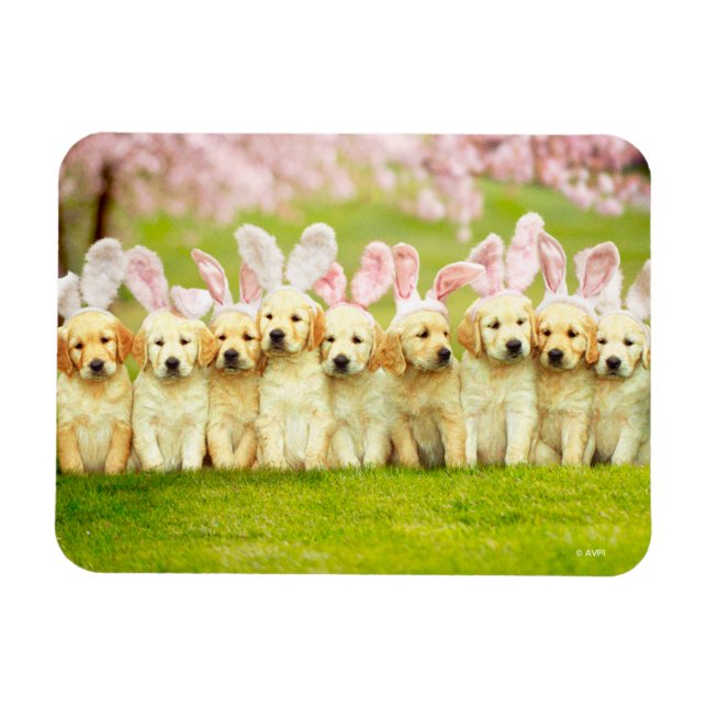 Magnet Flexible Row of Puppy Bunnies (Horizontal)