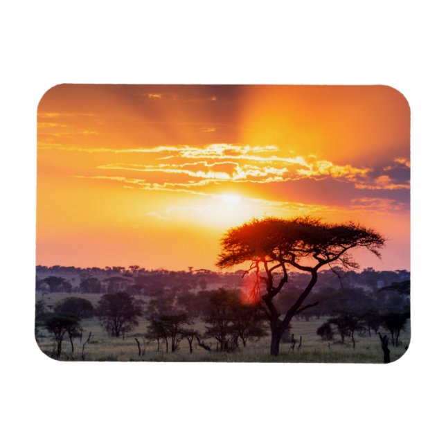 Magnet Flexible Safari dans le Parc National du Serengeti (Horizontal)