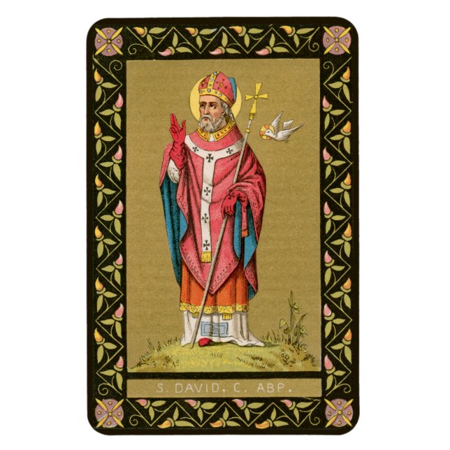 Magnet Flexible Saint-David de Galles (P 001) (Vertical)