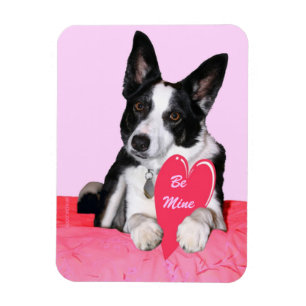 Magnet Flexible Saint-Valentin - "Magpie"