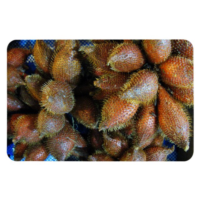 Magnet Flexible Salak [Fruit de serpent] (Horizontal)