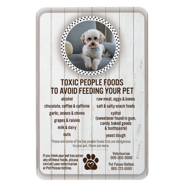 Magnet Flexible Salubrité des aliments pour animaux de compagnie P (Vertical)