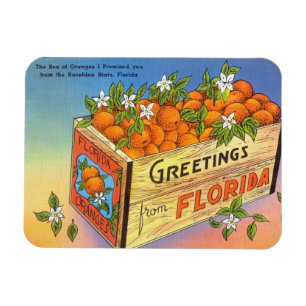 Magnet Flexible Salutations vintages de Florida Citrus Fruit
