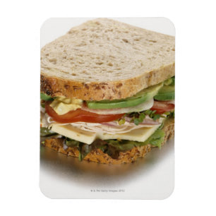 Magnet Flexible Sandwich sain