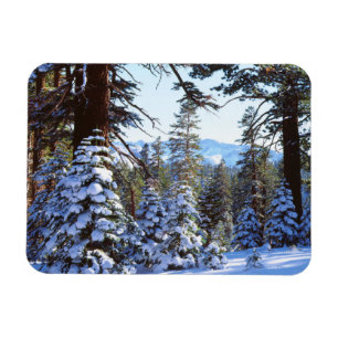 Magnet Flexible Sapins rouges enneigés dans la High Sierra 2