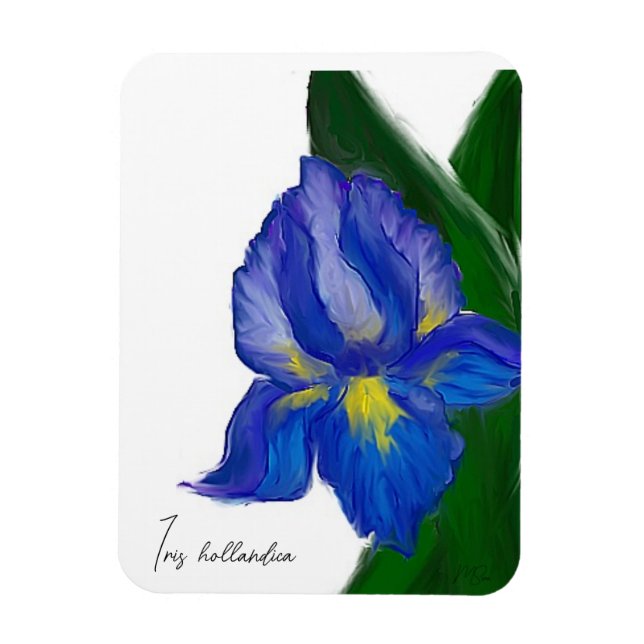 Magnet Flexible Sapphire Iris (Vertical)