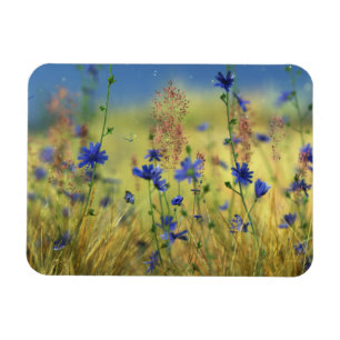 Magnet Flexible Sapphire & Or Aimant Flexible