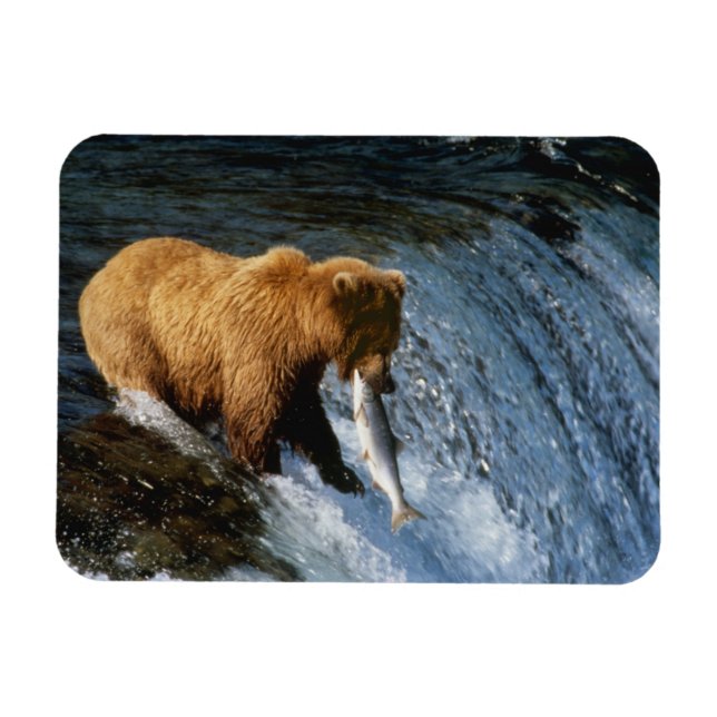 Magnet Flexible Saumon Brown de l'Alaska à Brooks (Horizontal)