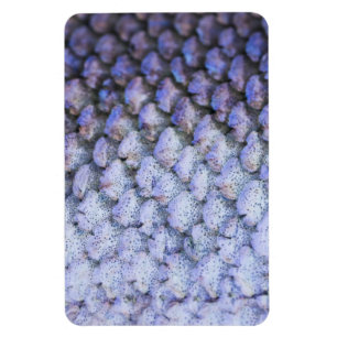 Magnet Flexible Saumon chatoyant